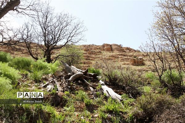 طبیعت زیبای تنگه سرخ سپیدان و یاسوج