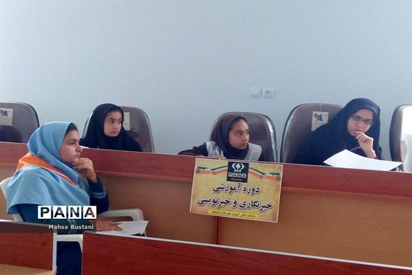 دوره آموزش خبرنگاری در دشتستان