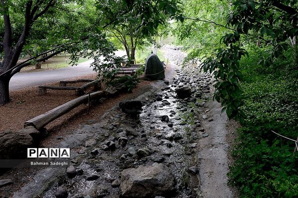 باغ گیاه شناسی ملی ایران