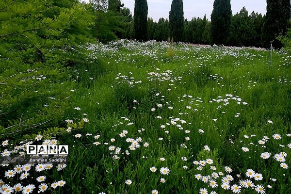 باغ گیاه شناسی ملی ایران