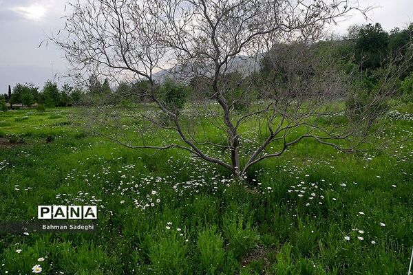 باغ گیاه شناسی ملی ایران