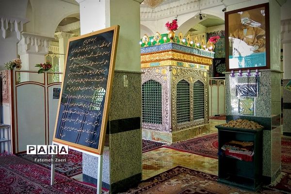 طبیعت امام زاده میر ابول(ع)  لارستان،  در انحصار زباله ها