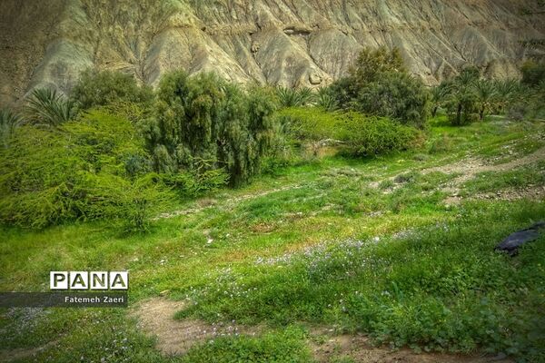طبیعت امام زاده میر ابول(ع)  لارستان،  در انحصار زباله ها
