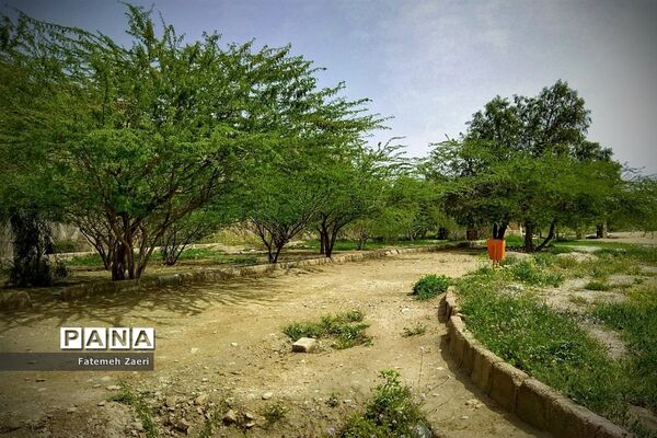 طبیعت امام زاده میر ابول(ع)  لارستان،  در انحصار زباله ها