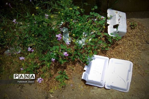 طبیعت امام زاده میر ابول(ع)  لارستان،  در انحصار زباله ها