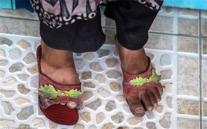 نام مواد را بلدند نام میوه‌ها را نه