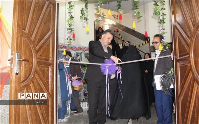 حنیف نیا: طرح برنامه ویژه مدرسه موثرترین گام برای مهارت آموزی در دوران ابتدایی است