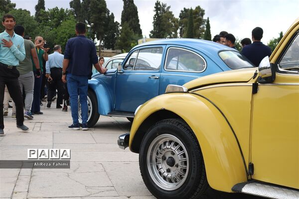 خودنمایی  فولکس واگن ها در شیراز