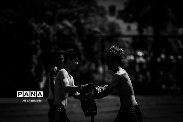 دیدارهای سه جانبه جوانان پرشین