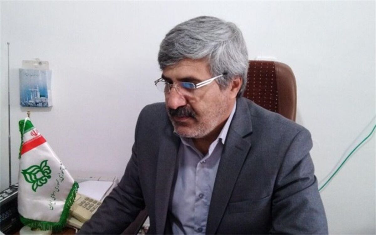 مدیر دانش آموزی کردستان برنامه های  گرامیداشت بیستمین سالروز تأسیس سازمان دانش آموزی در استان را اعلام کرد