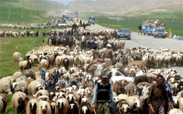 آغاز کوچ عشایر به مناطق ییلاقی چهارمحال و بختیاری