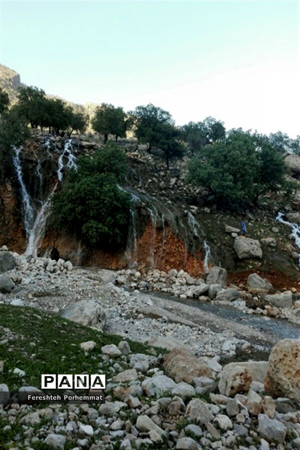 احیای دوباره چهل چشمه در فارس