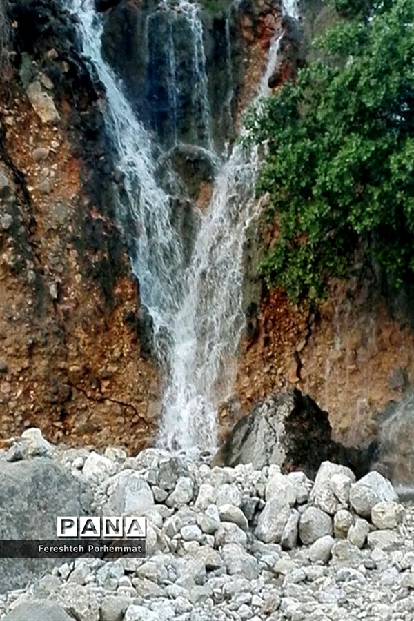 احیای دوباره چهل چشمه در فارس