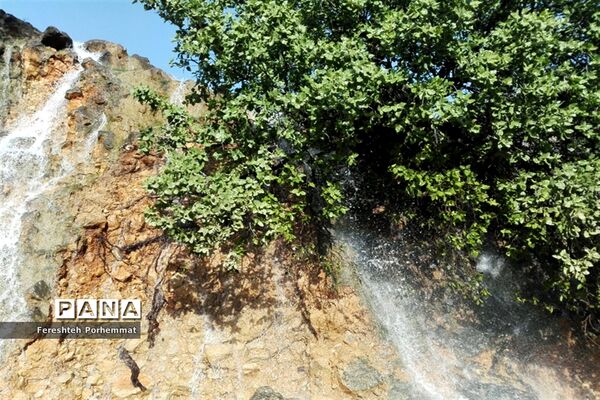احیای دوباره چهل چشمه در فارس