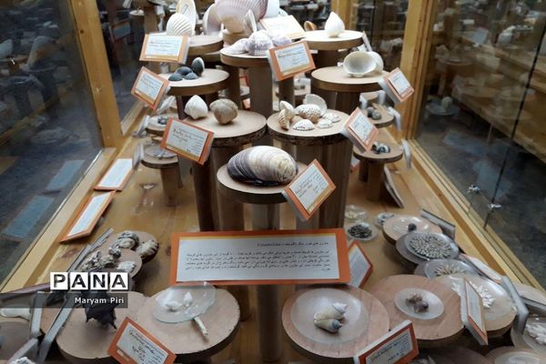 مجموعه‌ای کم‌نظیر از انواع گونه‌های حیوانی، گیاهی در موزه تاریخ طبیعی همدان