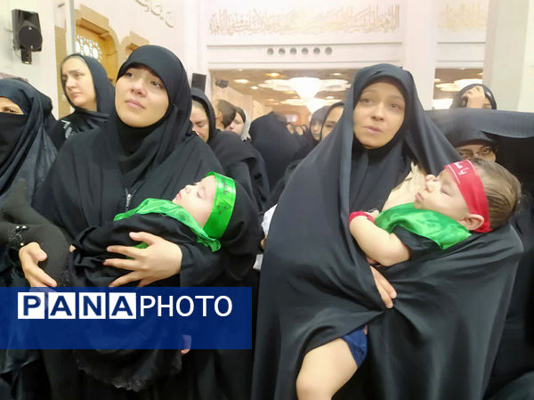 همایش شیرخوارگان حسینی(ع) در قم - 2