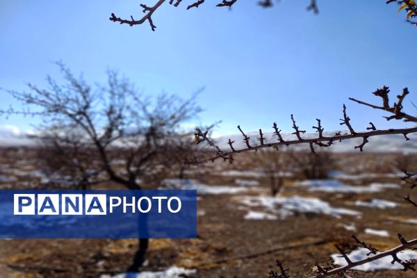 رد پای برف در باغات نهضت آباد اصفهان