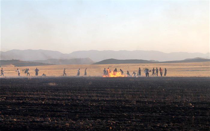 آتش‌سوزی گندم‌زارهای بخش کوهنانی کوهدشت مهار شد