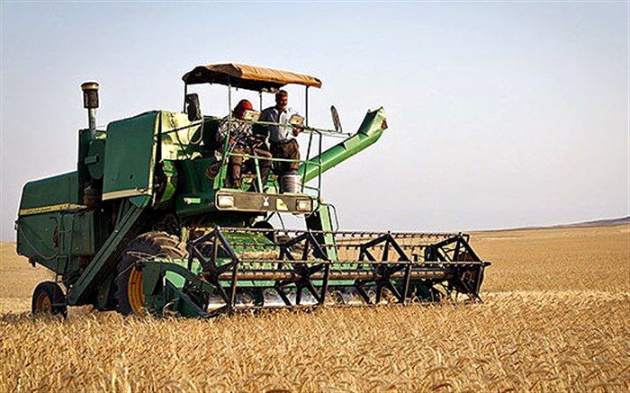 پیش بینی خرید تصمینی ۶۰۰ هزار تن گندم مازاد بر نیاز زراعین آذربایجان غربی