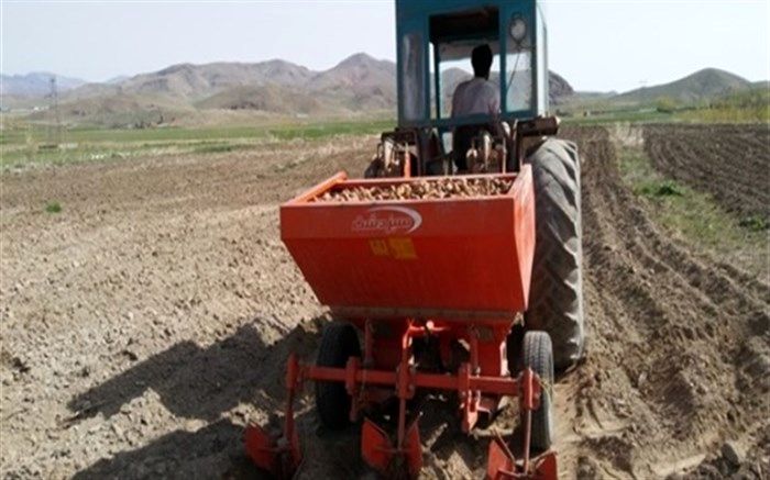 آغاز کشت سیب زمینی در چالدران