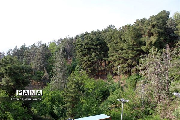 پارک آب و آتش تهران