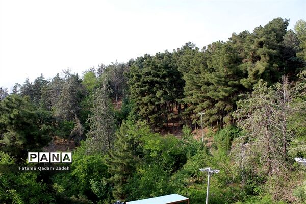 پارک آب و آتش تهران