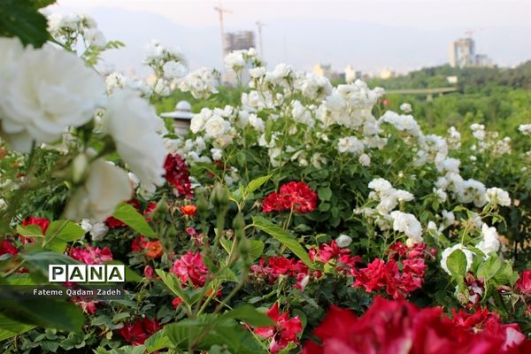 پارک آب و آتش تهران