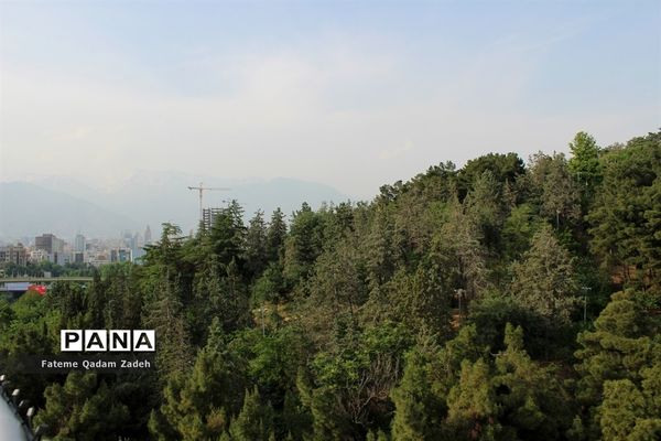 پارک آب و آتش تهران