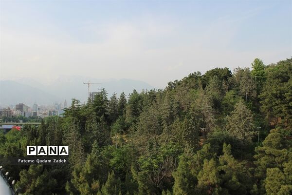 پارک آب و آتش تهران