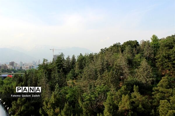 پارک آب و آتش تهران