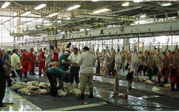 قیمت قربانی حج ۹۸ اعلام شد