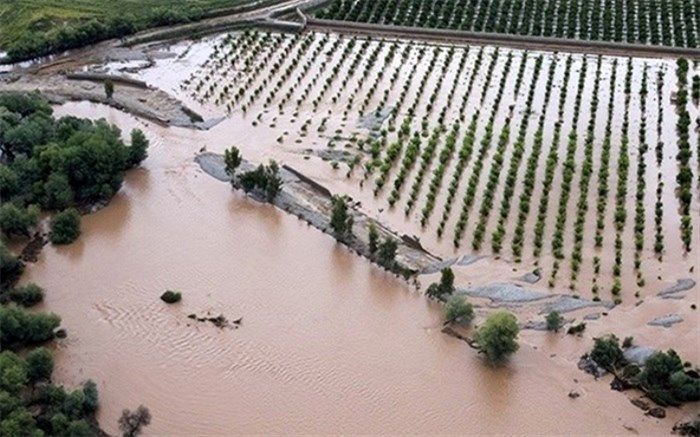 امهال سه‌ساله تسهیلات کشاورزان خسارت‌دیده