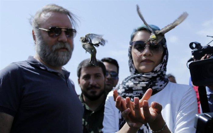 رهاسازی حیوانات در طبیعت با حضور هنرمندان