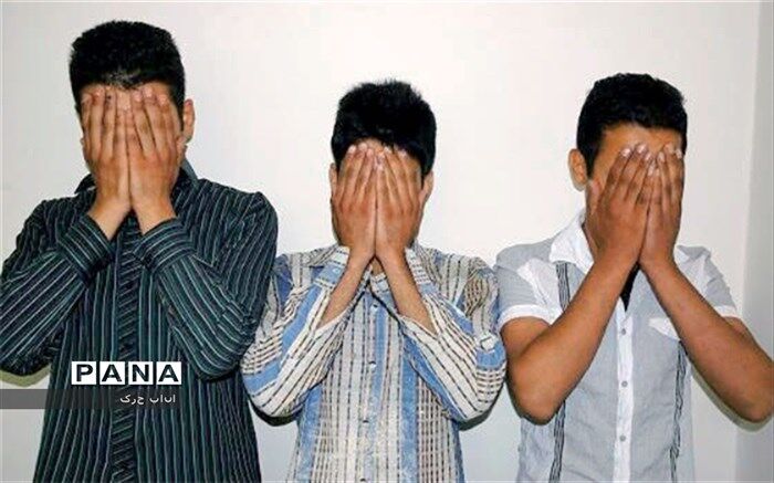 سارقان با 105 فقره سرقت در کرج دستگیر شدند
