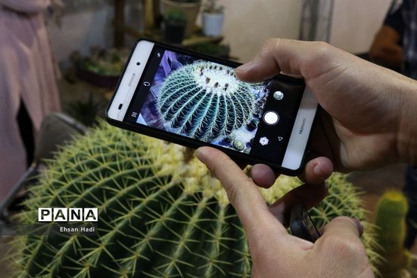 افتتاح نمایشگاه بین‌المللی گل و گیاه مشهد