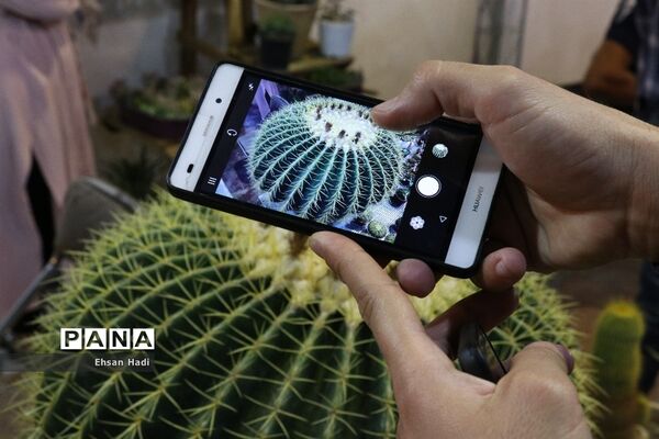افتتاح نمایشگاه بین‌المللی گل و گیاه مشهد