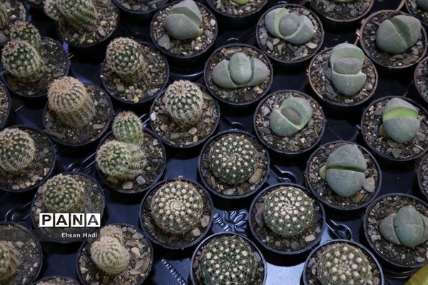 افتتاح نمایشگاه بین‌المللی گل و گیاه مشهد