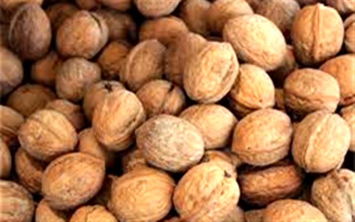کشف گردوی قاچاق میلیاردی در شیراز