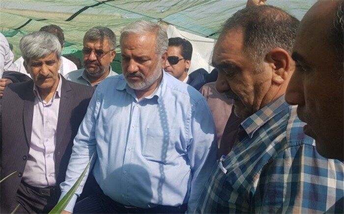معاون باغبانی وزیر جهاد کشاورزی: چابهار گلخانه طبیعی ایران است