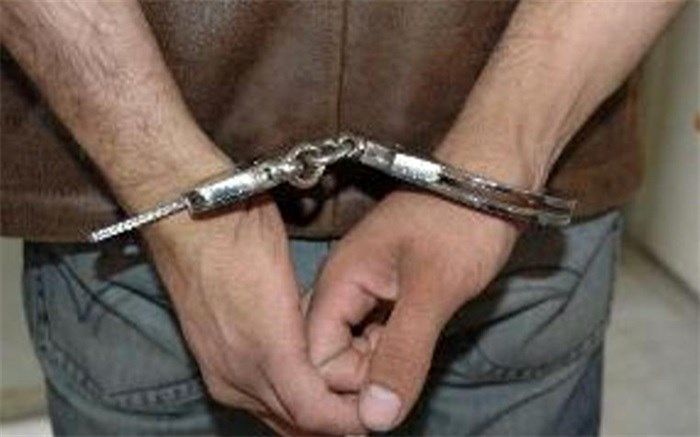 دستگیری سارقان حرفه ای منزل در سایت دیوار