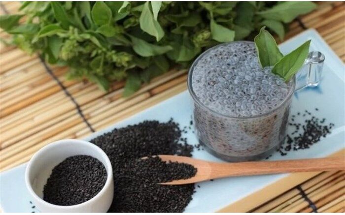 همه چیز درباره دانه‌هایی شفابخش!