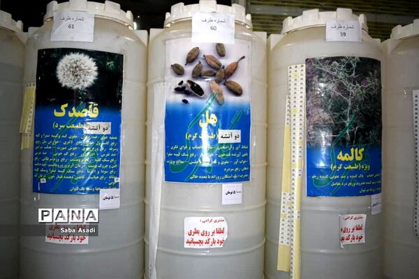 فصل تابستان و رونق عرق گیری در شیراز