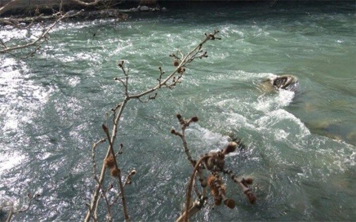 رسم غریب‌کشی