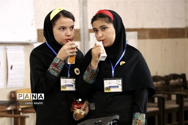 - دومین دوره مسابقات ملی بازی‌های فکری، سرگرمی دانش‌آموزی رویش