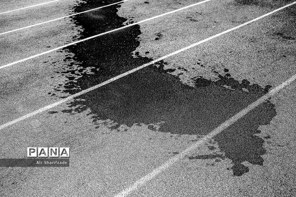 مسابقات دوومیدانی بانوان جانبازان و معلولین