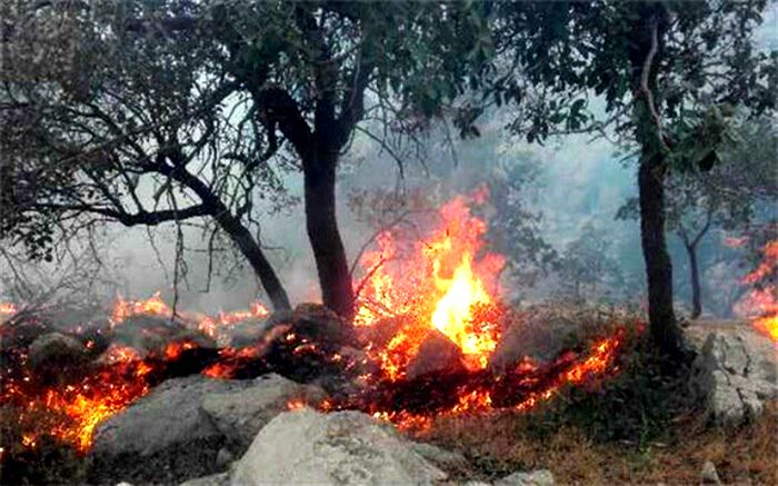 آتش‌سوزی در جنگل هم جرم است و هم مجازات نقدی و حبس دارد