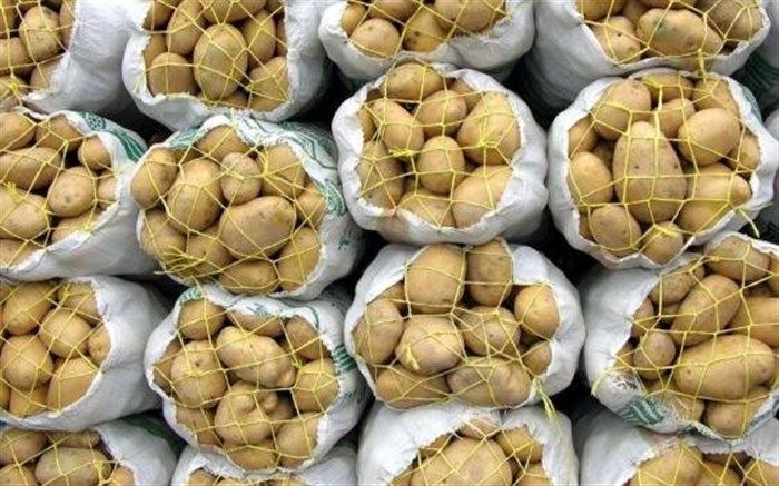 صادرات سیب‌زمینی مشمول پرداخت عوارض صادراتی شد