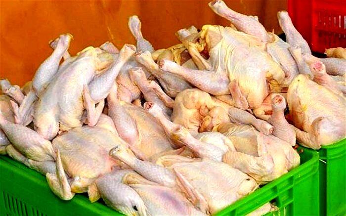 هیچ کمبودی در تامین مرغ در آذربایجان غربی وجود ندارد