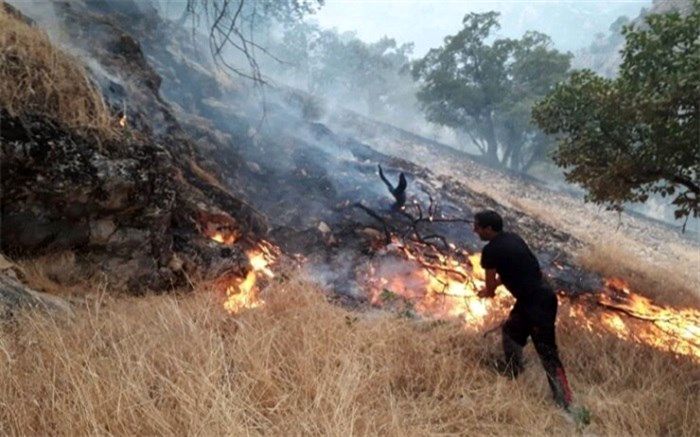 مهار ۲۹ مورد آتش سوزی در مراتع و درختان شهرکرد