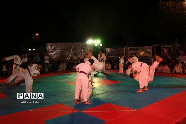 جشنواره همگانی جودو و گردهمایی جودوکاران فارس در شیراز